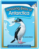 ノンフィクション Informational Text  ゛Amazing Birds of Antarctica″ Level6